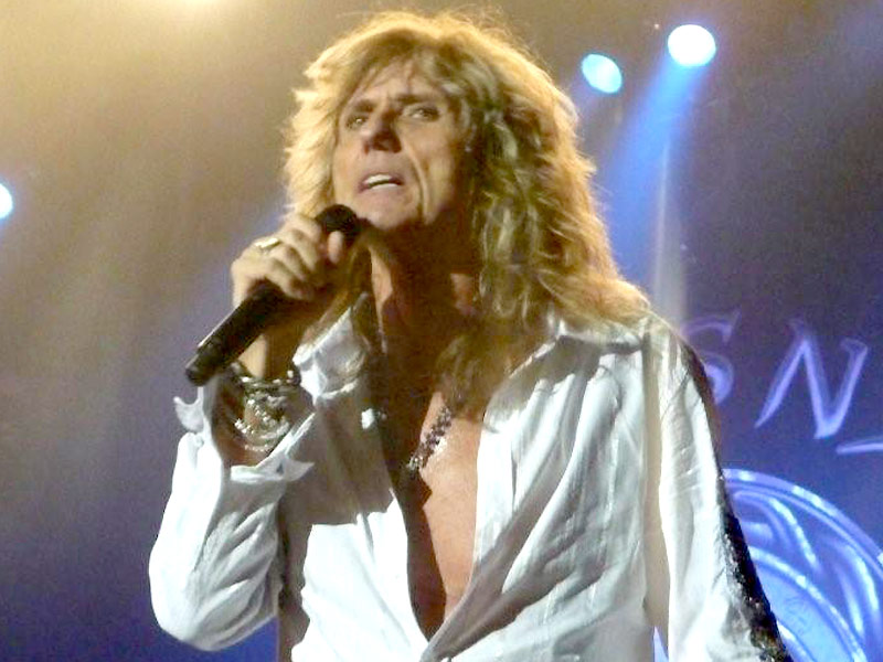 Whitesnake 2011