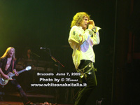 Whitesnake 2009