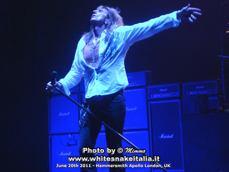 Whitesnake 2011