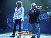 whitesnake 2011