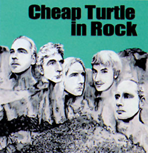 Cheap Turtle In Rock