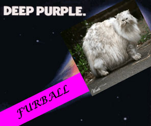 Deep Purple, spoof album cover