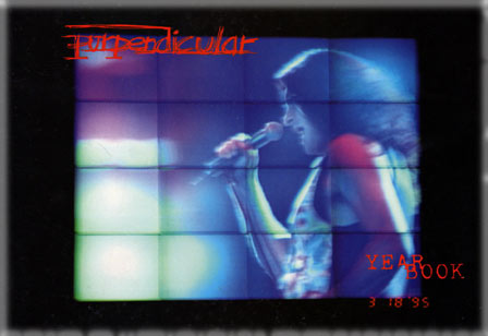 Purpendicular Tour Programme 1996